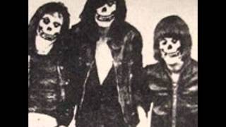 Misfits Feat Joey Ramone  1969 live The Stooges Cover [upl. by Smailliw912]