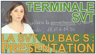 Lépreuve de SVT au bac S  présentation générale  SVT  Terminale  Les Bons Profs [upl. by Afihtan]