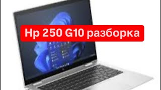 HP 250 G10 разборка ноутбука [upl. by Casabonne]