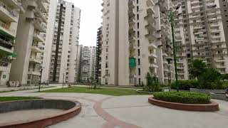 Eco Village 1 society noida views [upl. by Alroi]