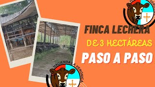 MODELO FINCA LECHERA DE 3 HECTAREAS PASO A PASO [upl. by Zeke]