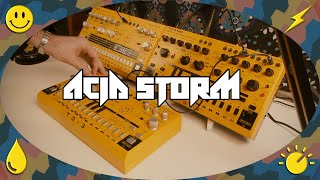 ⚡ ACID STORM  Behringer TD3  TD3 MO  RD6 Jam 🙂 [upl. by Snahc]