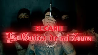 El Carli  La Gatica De Mi Zona Video Oficial Tiradera Para El Taiger🐖 [upl. by Eerahs]