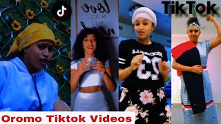 Sirba afaan oromoo haaraa 2023 Oromo music  Oromotiktok [upl. by Ferneau]