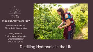 Distilling Hydrosols in the UK [upl. by Wiebmer910]