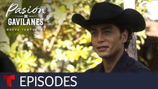 Pasión de Gavilanes New Season  Episode 33  Telemundo English [upl. by Elsie]