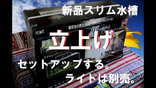 【熱帯魚飼育・新規水槽立上げ】ゼロから立ち上げる60㎝スリム水槽GEX Glassterior 新品セット [upl. by Barry911]