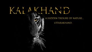 A Hidden treasure of Uttarakhand  Adventure  Drama  Fun  Tigers [upl. by Acinelav]