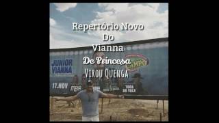 REPERTÓRIO NOVO DO VIANNA PRA PAREDÃO  Junior Vianna  De Princesa Virou Quenga Nova [upl. by Einobe]