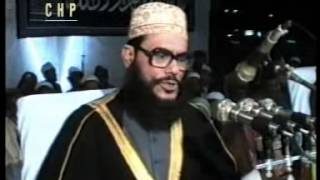 Bangla Waz  Akhirater Alosona  ALLAMA DELWAR HOSSAIN SAYEEDI [upl. by Karlow]