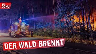 Wald in Flammen  Feuerwehr im Dauereinsatz  Die rbb Reporter  Doku amp Reportage [upl. by Hctud76]