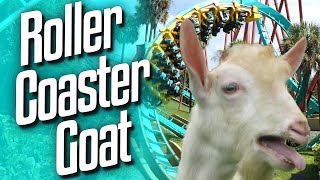 Goat Sim  Rollercoaster Goat Coop [upl. by Neddie255]