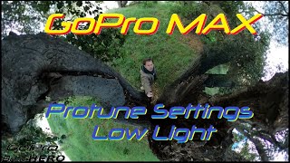 GoPro MAX Protune Settings Low Light [upl. by Ammann]