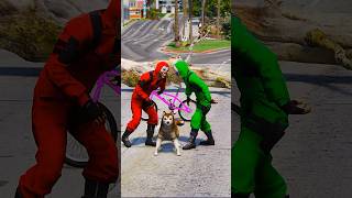 Spiderman saves husky  GTA V  shorts 73 [upl. by Bullough]