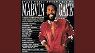 Marvin Gaye  Distant Lover [upl. by Chong]