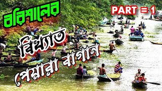 barishal peyara bagan vlog 🥰2024🥰 বরিশালের ঐতিহ্য বাহি পেয়ারা বাগান raivlogs viralvlog vlogs [upl. by Nial]