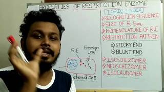 Properties of Restriction Enzyme  Palindromic sequence [upl. by Karolina]