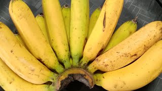 Banana peeling asmrfruitsweet [upl. by Akapol243]