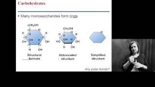 MacromoleculesCarbohydrates w Interpreter [upl. by Delphine]