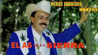 El As De La Sierra  Puros Corridos Mix 2020 [upl. by Aserehtairam]