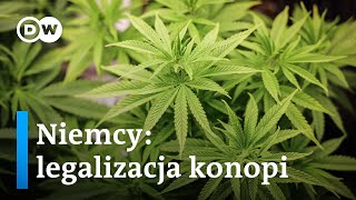 Legalizacja konopi w Niemczech [upl. by Xavler]