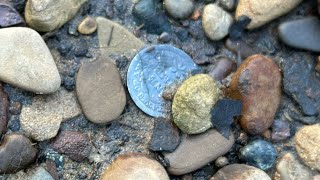 Arrowhead Hunting along the Ohio river [upl. by Leisam]