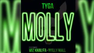 Tyga  Molly Bass Boosted amp Clean Lyrics Edit by DJ Sideofrize HD [upl. by Weisbrodt71]