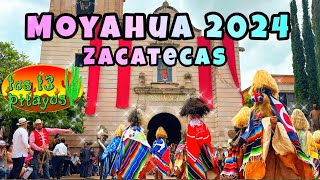 Moyahua Zacatecas 2024 [upl. by Axe]