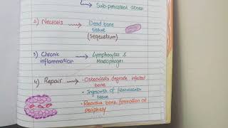 Acute Osteomyelitis And Chronic Osteomyelitis  Pathology [upl. by Welton]