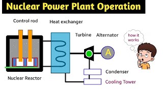 nuclear power plant  nuclear power plant working  in hindi  animation  nuclear reactor  layout [upl. by Ailecara]