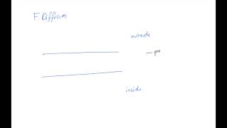 C3 and C4  Cell Membrane Transport [upl. by Edylc]