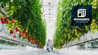 Proyectos Agrícolas Innovadores Rentables y Sostenibles  NOVAGRIC [upl. by Iatnohs]