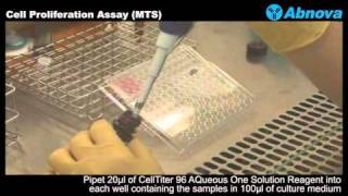 Cell Proliferation Assay MTS [upl. by Noreh]