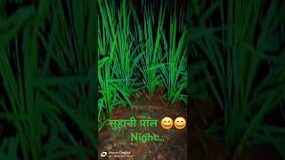 रात का मौसम सुहाने पल 😄😄kishan krishiandkhamar dhan ka khetibadi short night [upl. by Aliuqehs424]