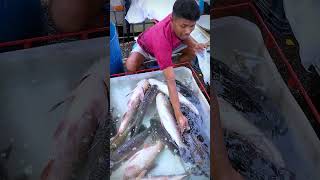 Amazing Fish Market In India shorts [upl. by Atnamas]