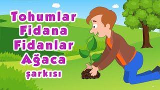 Tohumlar Fidana Fidanlar Ağaca Şarkısı [upl. by Otrebla]