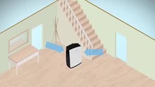 Dehumidifiers How do they work [upl. by Amsab]