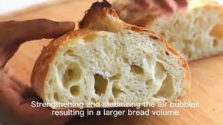 Application of Emulsifiers in Bread [upl. by Bowyer]