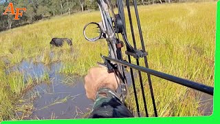 🐗 Pig Compound Bow Hunting Australia Wild Boars EP21 [upl. by Toft]