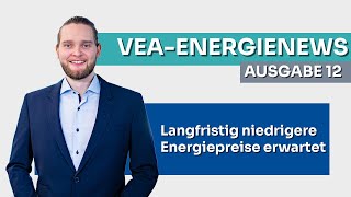 VEAEnergienews Ausgabe 12 [upl. by Seamus]