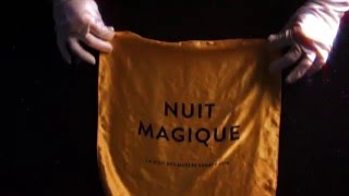 Nuit magique  La Nuit des musées à Genève 2016 [upl. by Clair945]