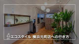 エコスタイル横浜元町店の駅からお店への行き方 買取 横浜 元町 中華街 石川町駅 [upl. by Gemina]