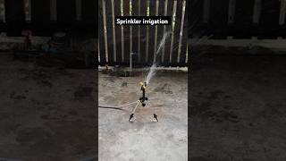 Sprinkler irrigation for agriculture sprinkler irrigation agriculture [upl. by Linkoski461]