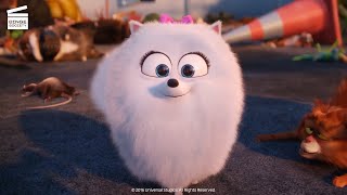 The Secret Life of Pets  Coming Home Scene  Fandango Family [upl. by Akcira161]