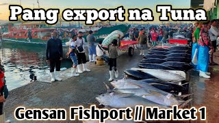 Pang export ang Tuna na dala ko  Gensan Fishport  Philippines 🇵🇭 [upl. by Deibel]