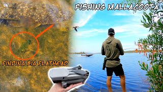 Using a Drone to find Fish Fishing Mallacoota [upl. by Atin523]