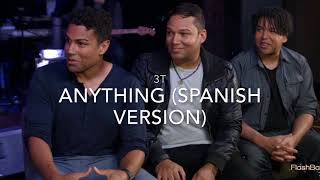 3T  Anything Spanish Version [upl. by Airamahs527]