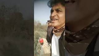 Mujhko pina hai pine do shortvideo bollywoodsongs mithunchakraborty viralshorts [upl. by Aysahc896]