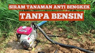 Solusi Siram Tanaman Palawija Saat Kemarau Pakai Alkon Mini Irit Bahan Bakar [upl. by Norved]