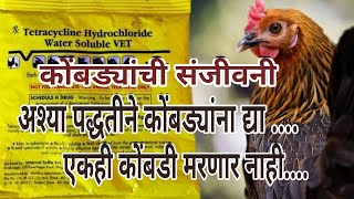 How to use tetracycline powder in poultry  वापर आणि महत्त्व 🙏😊 [upl. by Castillo]